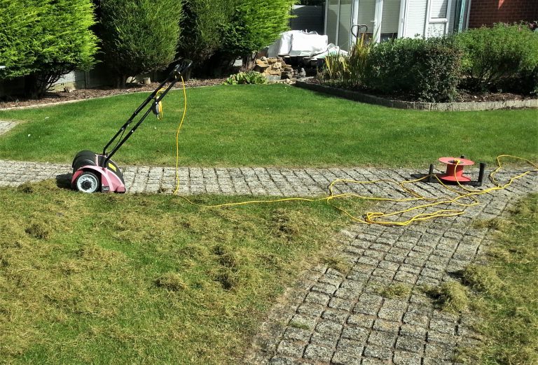 How to Scarify a Lawn