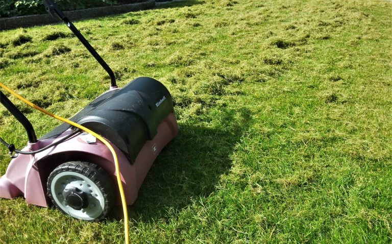 How to Scarify a Lawn