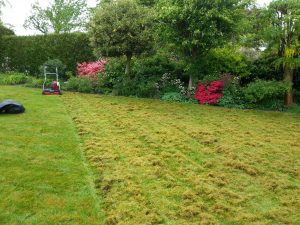 scarify lawn