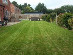 shirland lawncare