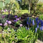 Swanwick Gardener