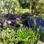 Swanwick Gardener